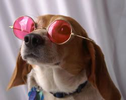 rose colored glasses Pictures, Images and Photos