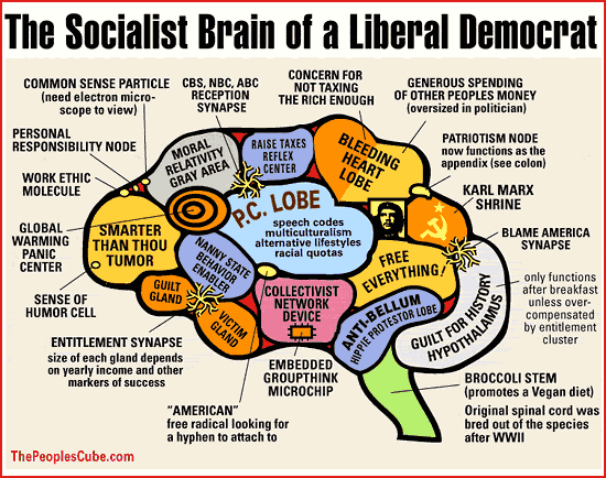 The socialist brain of a liberal democrat Pictures, Images and Photos