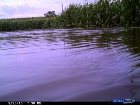 CDY_0011.jpg