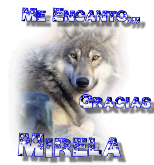 0MEENCANTOanimal36.gif picture by mirelasadir