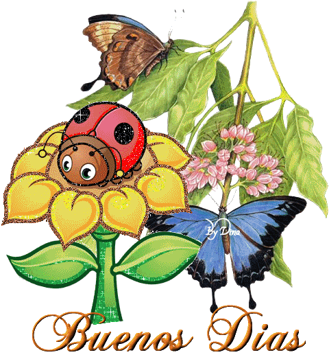 211112D000abydina32D52D22.gif picture by mirelasadir