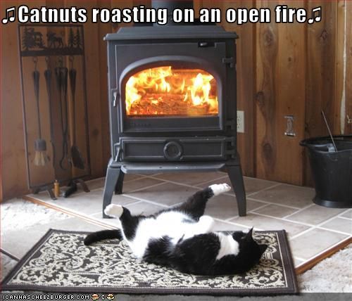 funny-pictures-cat-roasts-by-fire.jpg
