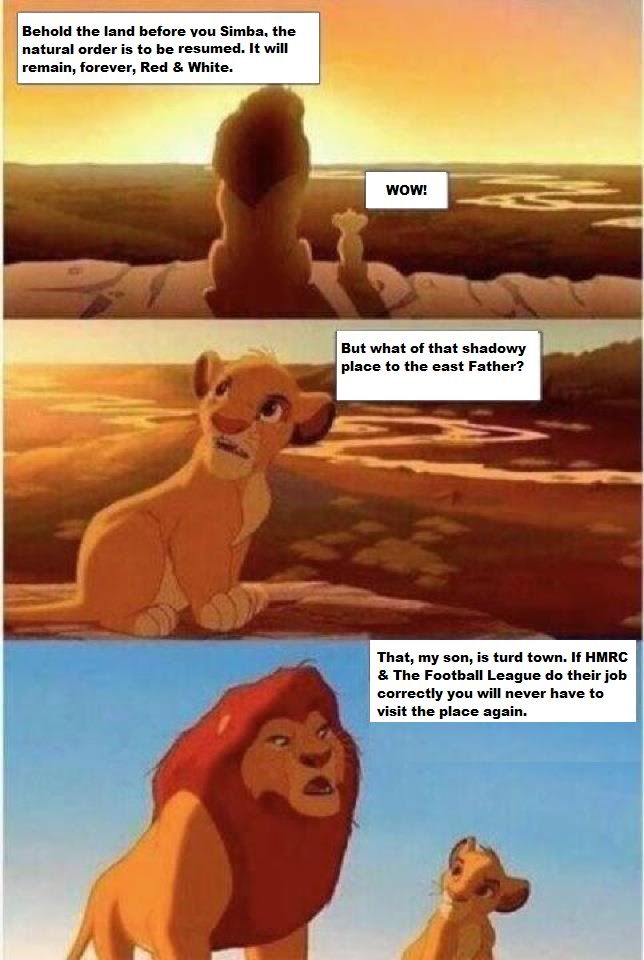 Simba-Turdtown.jpg