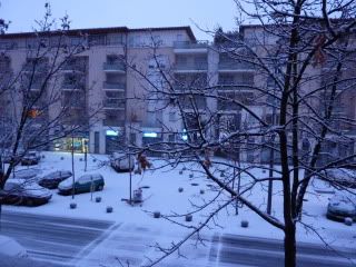 Colomiers sous la neige!!! dans Evenements P1000242