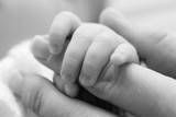 baby hand Pictures, Images and Photos