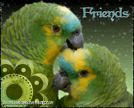 MySpace Graphics