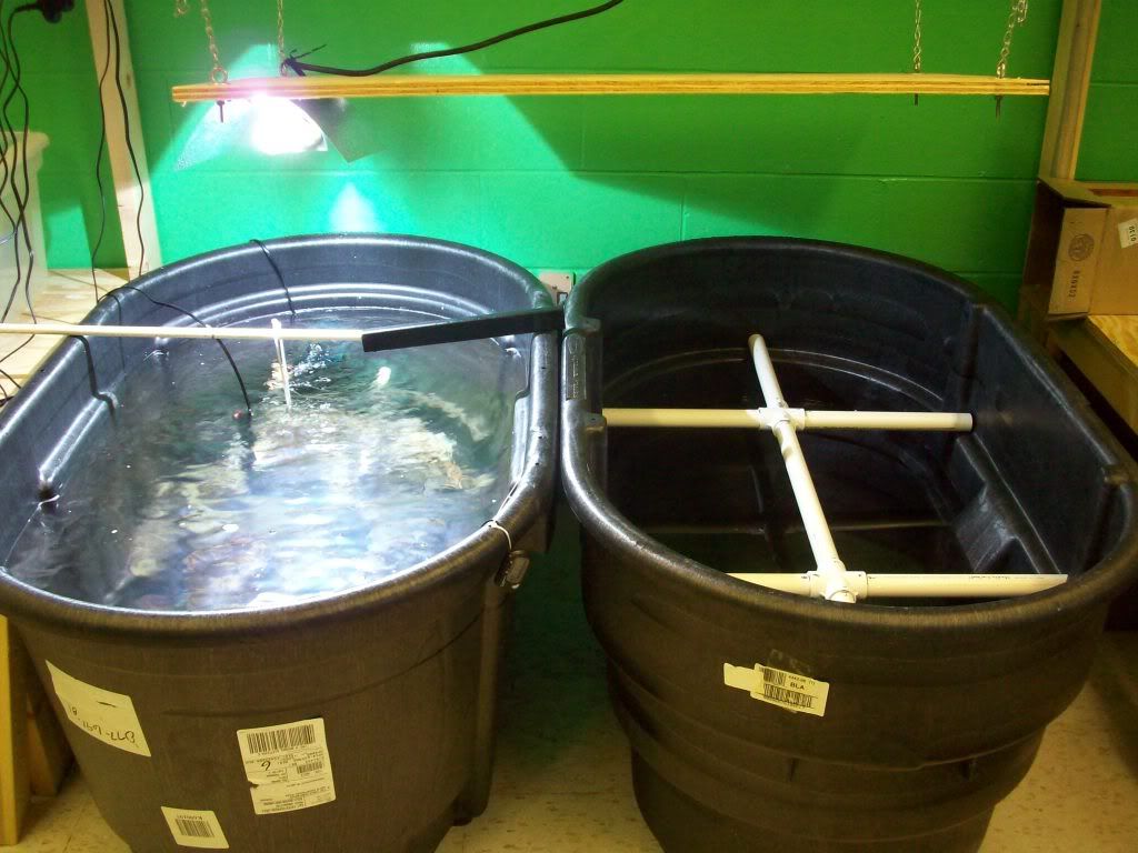 100 gallon Rubbermaid Agricultural Tubs... Reef Central Online Community