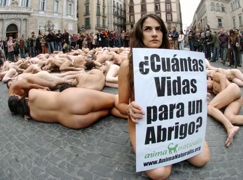agrecion agrecion