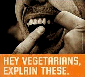 [Image: Canines.png]