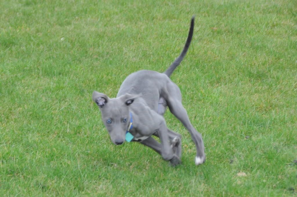 DSC_2599.jpg
