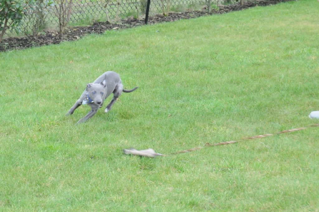 DSC_2600.jpg