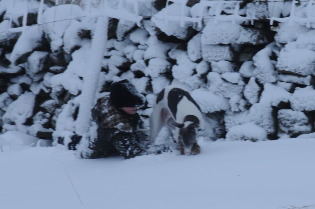 DSC_7293.jpg