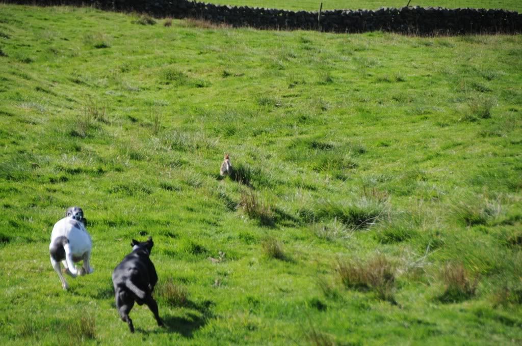DSC_8854.jpg