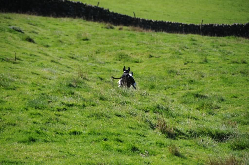 DSC_8856.jpg