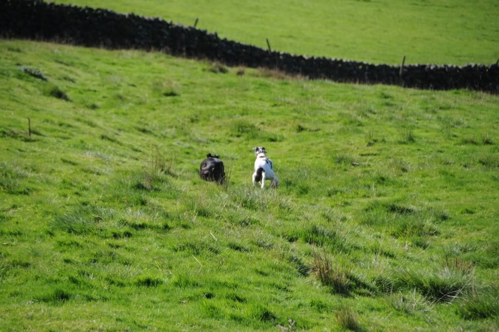 DSC_8857.jpg