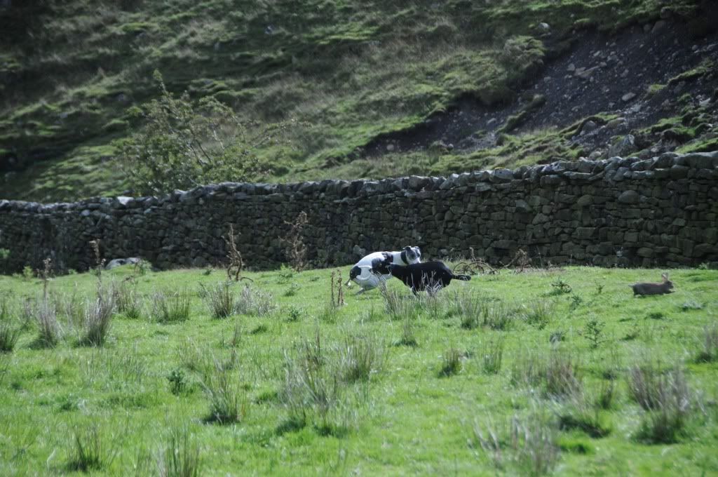 DSC_8862.jpg