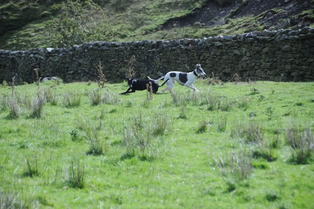 DSC_8863.jpg