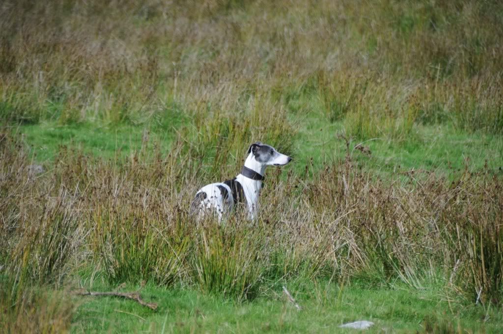 DSC_8866.jpg