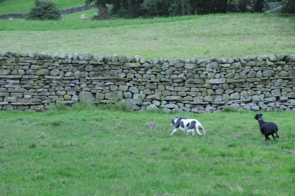 DSC_8881.jpg
