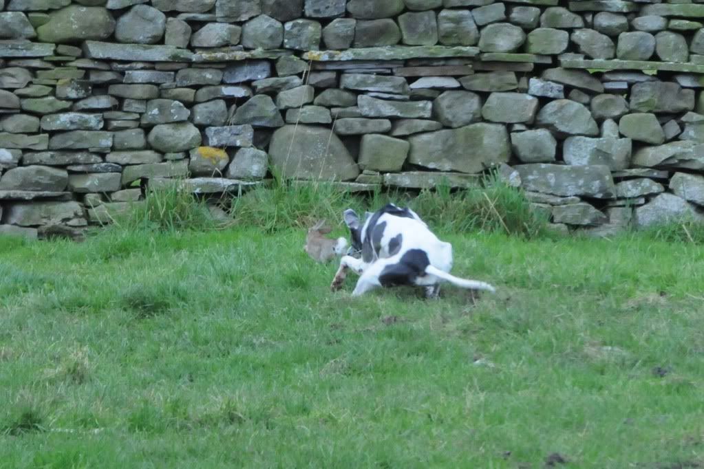 DSC_8894.jpg