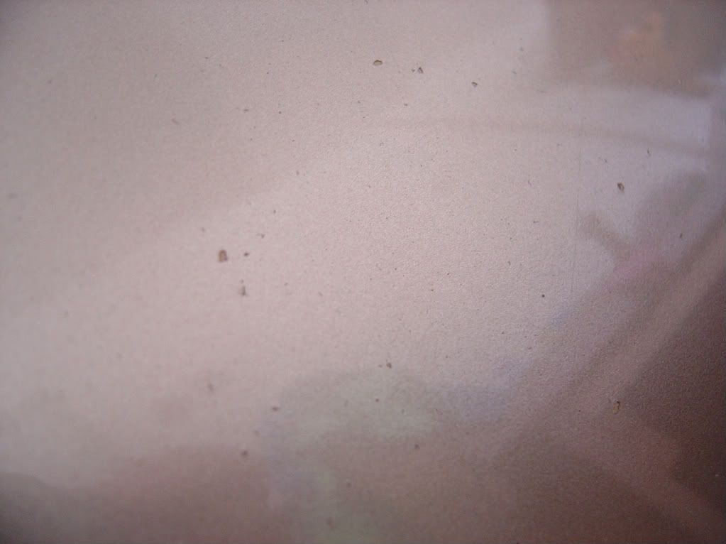 DSC00090.jpg