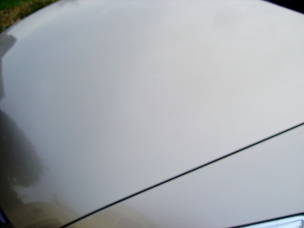 DSC00104.jpg