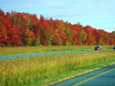 Ontario Autumn Beauty