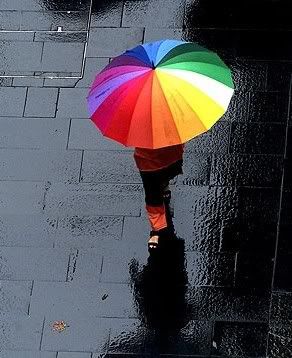 Rainbow in the Rain Pictures, Images and Photos