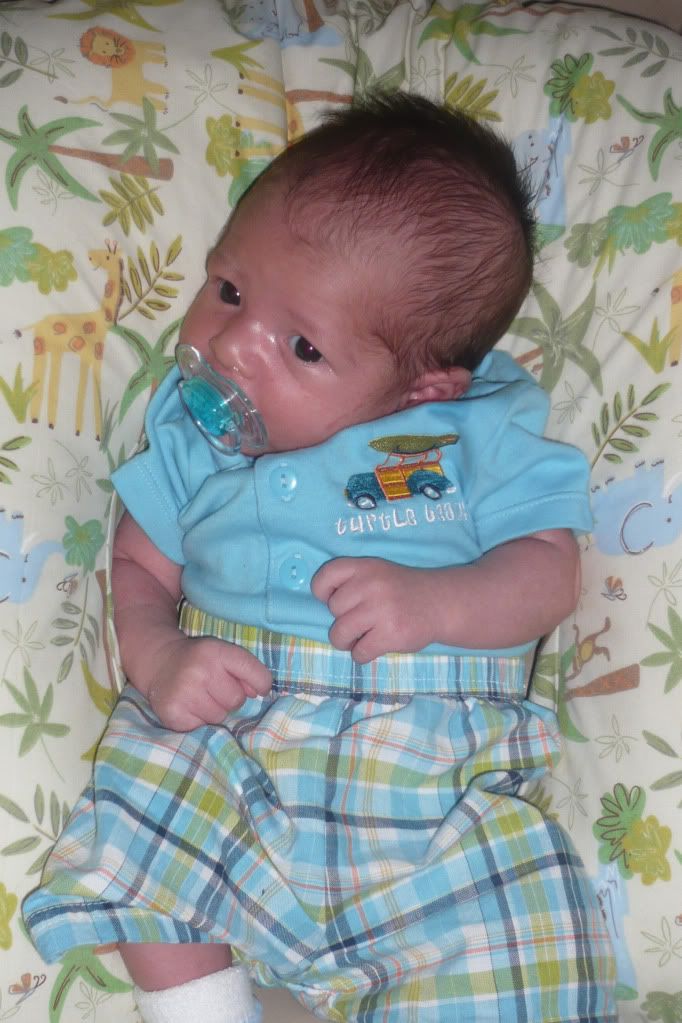 Boy Binky Baby Contest BabyGaga