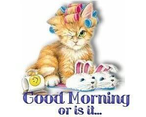 Kitten-goodmorningorisit1.jpg