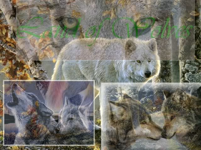 Land of Wolves