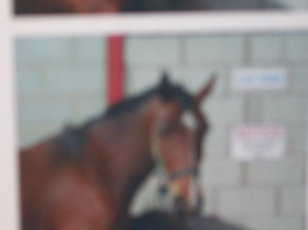 beoley equestrian centre