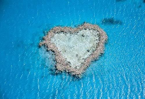 love heart reef