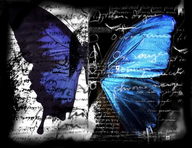 Backgrounds Butterfly