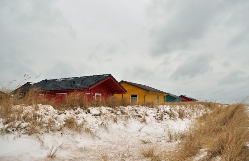 Fotografie
