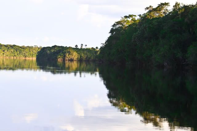 Amazonia2008B194.jpg