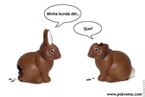 Coelhos de Chocolate
