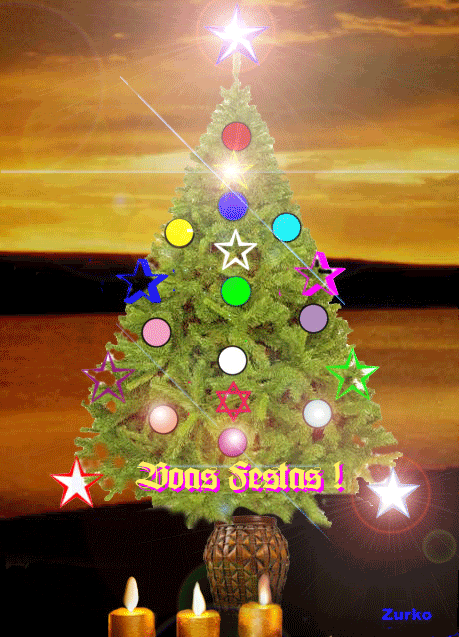 Boas Festas Pictures, Images and Photos