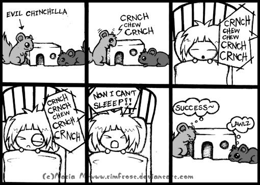 Comic___Evil_Chinchilla_by_Rimfrost.jpg
