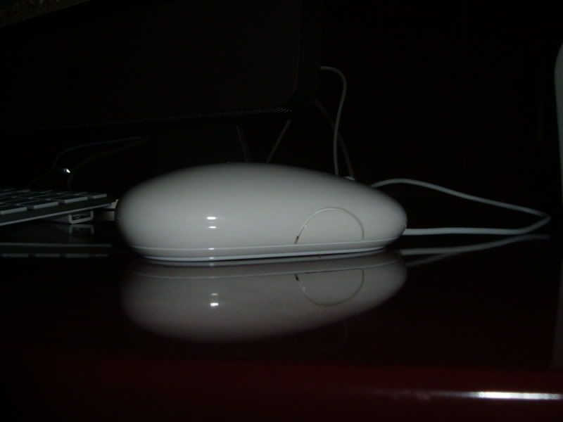 DSCF2431.jpg