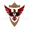 WitanceasterHawks.png