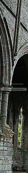 010-v.png