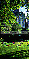 018-v.png