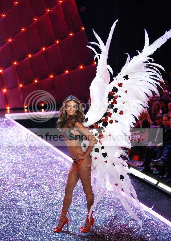 vs2.jpg