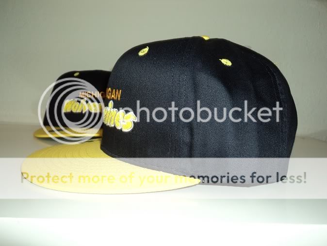 VINTAGE MICHIGAN WOLVERINES SNAPBACK HAT RETRO tisa  