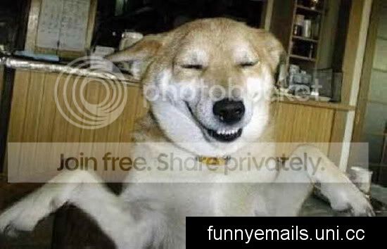 funny_emails_animals42.jpg