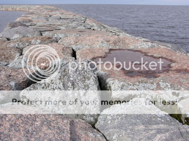 P4190022 Мол на ладоге как доехать