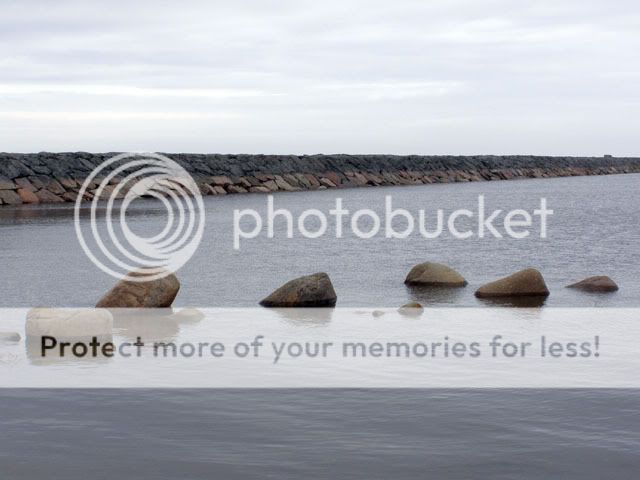 P4190097 Мол на ладоге как доехать