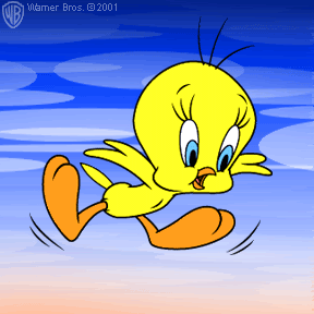 Baby Tweety Pictures, Images & Photos | Photobucket