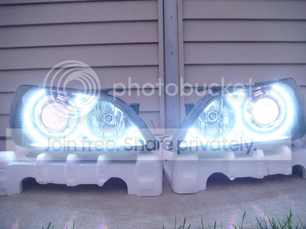 DSC02411.jpg